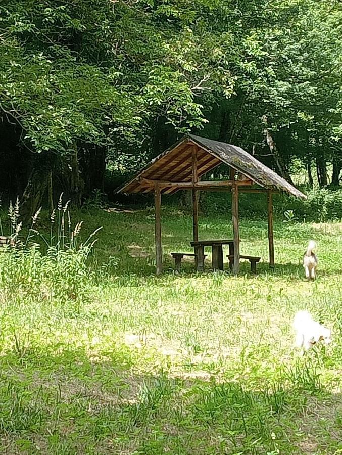 Le Macine Villa Magnano  Екстериор снимка